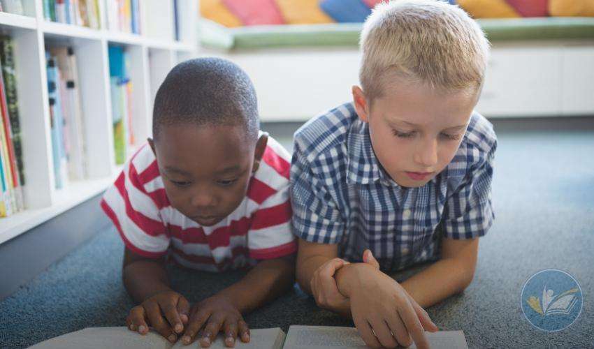 Colaboração constante com profissionais da saúde e educação especial